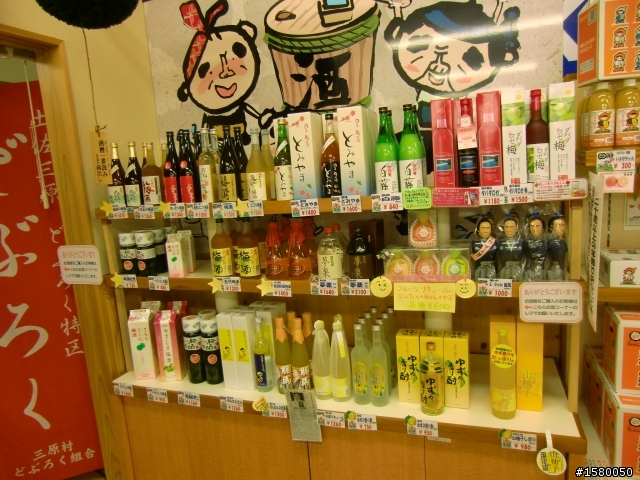 （日本小品）高知四万十川悠閒騎 2011/11/30