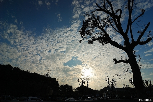 你吃棉花糖了嗎?