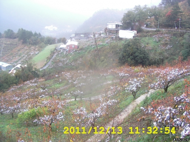 北橫 合歡山 清境