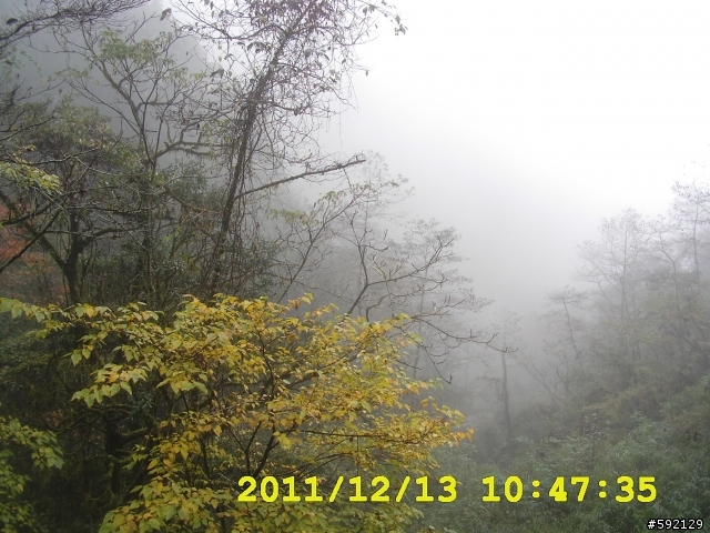 北橫 合歡山 清境