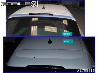 白虱目魚尾翼變長了