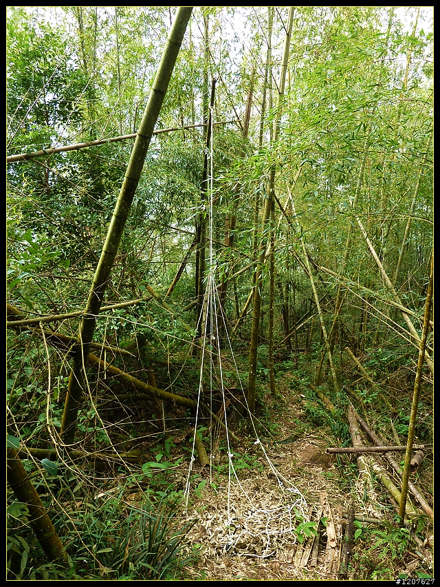 2011.12.26_水社寮-水水古道(順登五棲嶺)