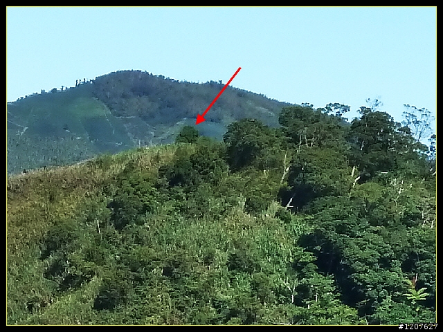 2011.12.07_首探獨立山頭-大坪山