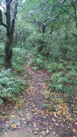 面天山+向天池....>約9KM