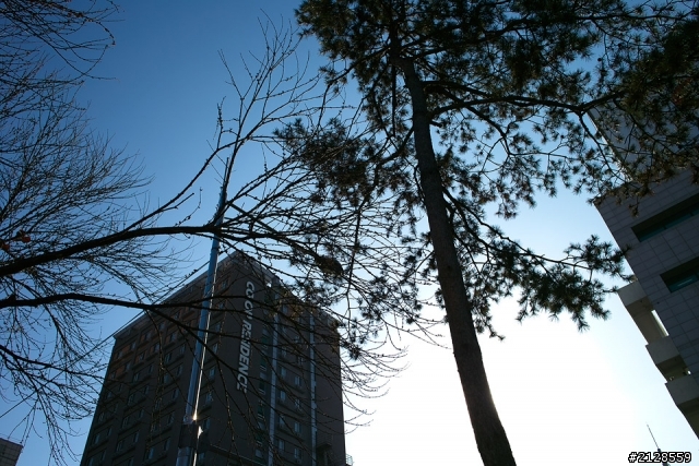 Dp1s 遊人蔘國 (圖多)