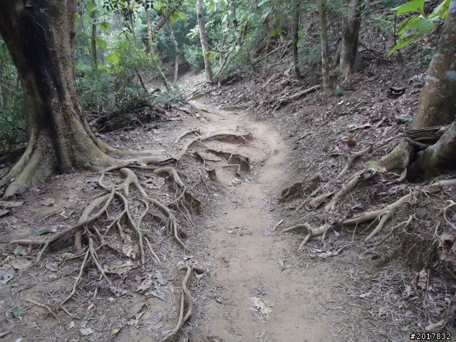 12/15南化北寮糖子恩山(鈺鼎步道)