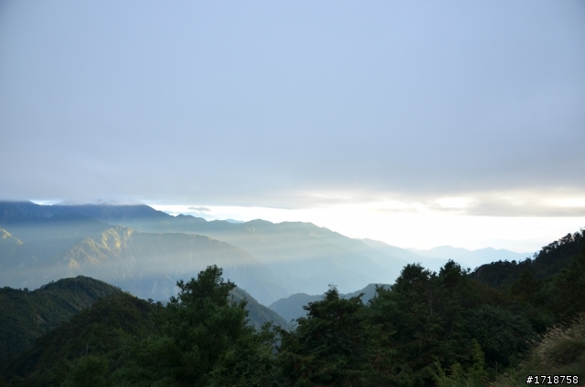 大雪山 楓與山與嵐的交織