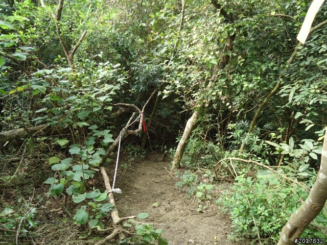 12/15南化北寮糖子恩山(鈺鼎步道)