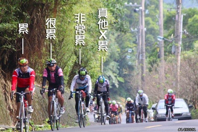 P字道賽事期間出現蒙面搶匪案後續報導(上傳10000張)