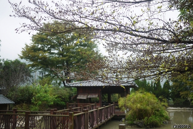 「苗栗」巧克力雲莊