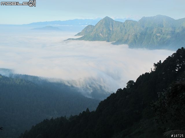 杉林溪 十二生肖彎之豬彎 2011/12/16 下午4點雲海+雲瀑