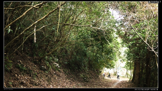 「遊記拾遺」羅山林道單一純麥開工團