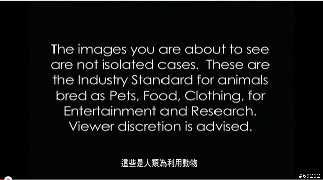 [影片] 地球上的生靈