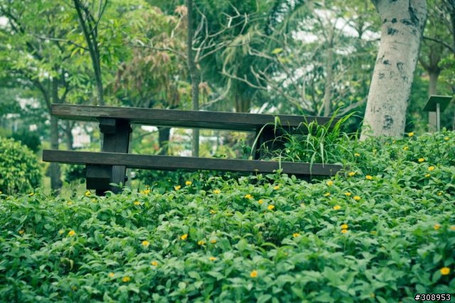 第一次用 CANON 60D 拍照 ~~~