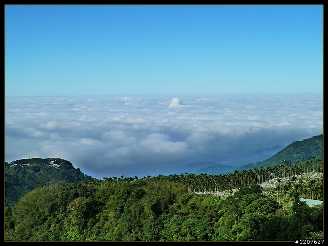2011.12.07_首探獨立山頭-大坪山