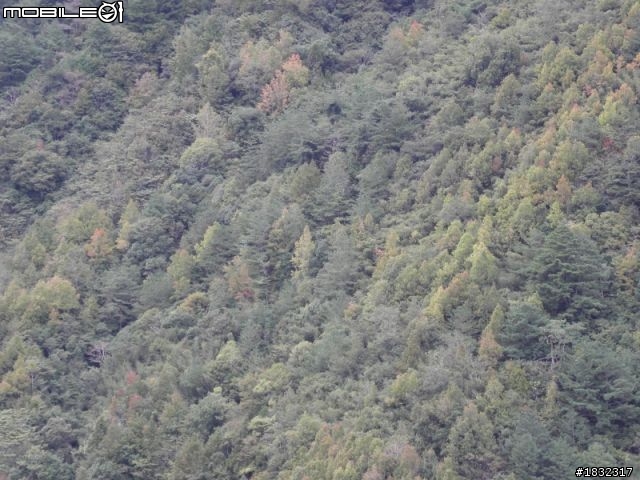 1001123單攻司馬庫斯