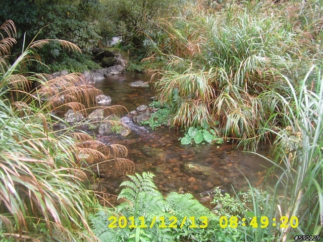 北橫 合歡山 清境