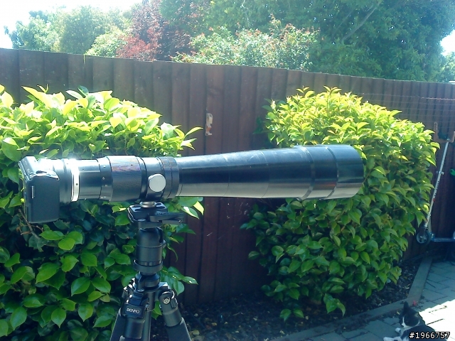 SAFARI F6.3 500mm M42 Lens新入手+5N=我可以打鳥去囉~