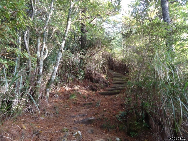 12/19冬日的塔塔加東埔山行