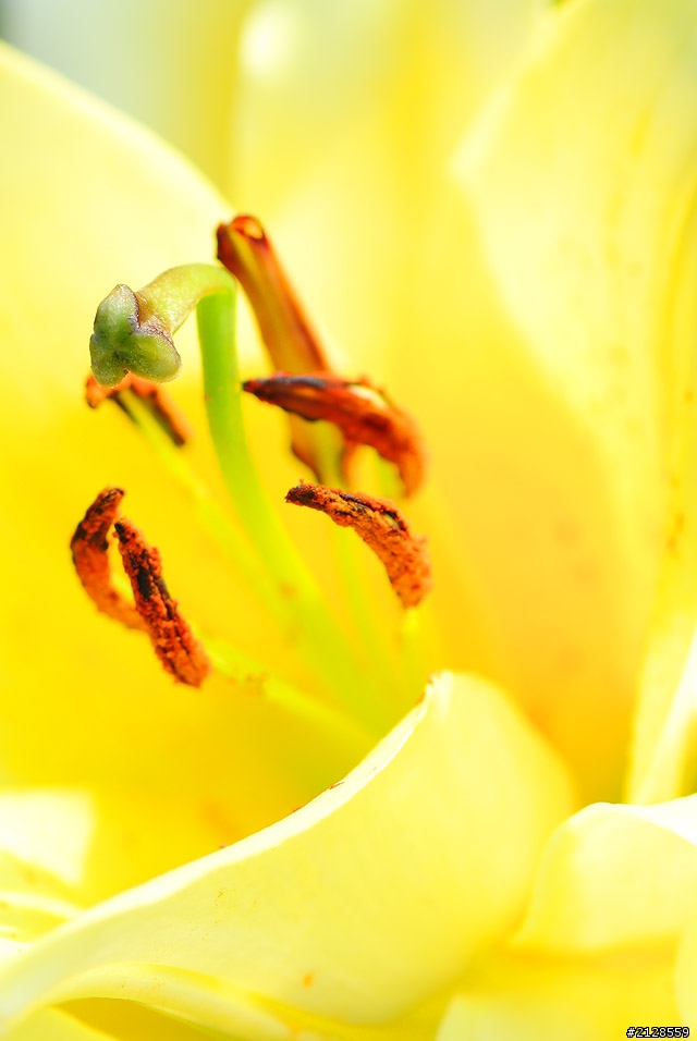 V1+百微+LB6拍花拍鳥