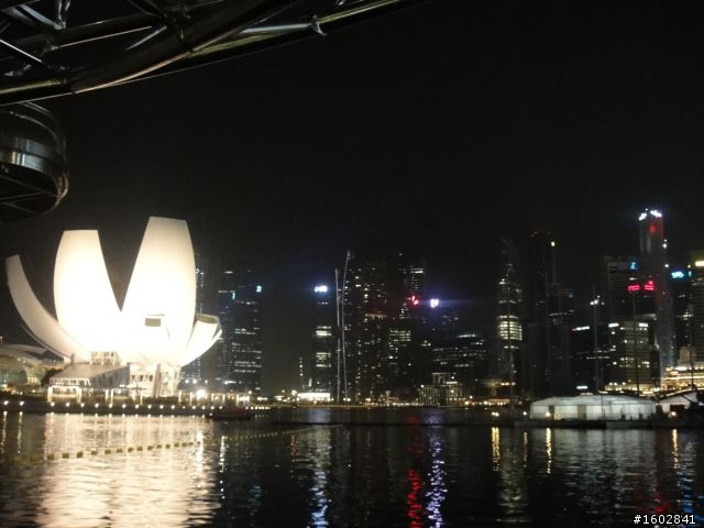 2011年F1錦標賽-新加坡站照片回顧