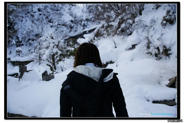 [景點]日本山形:白雪覆蓋的美麗「山寺」