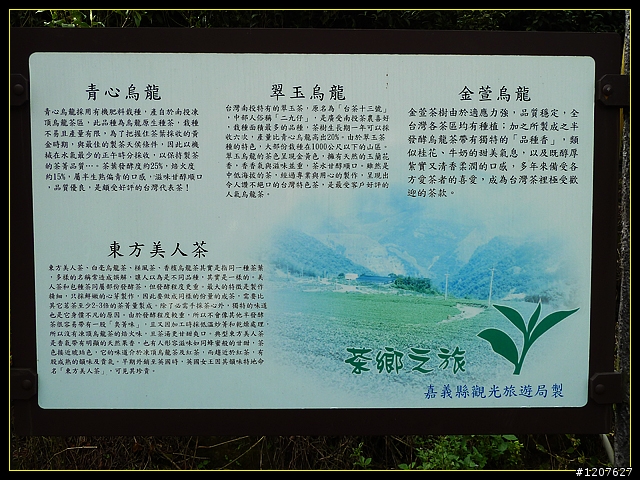 2011.12.07_首探獨立山頭-大坪山