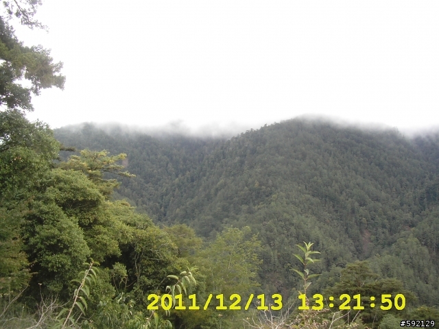 北橫 合歡山 清境