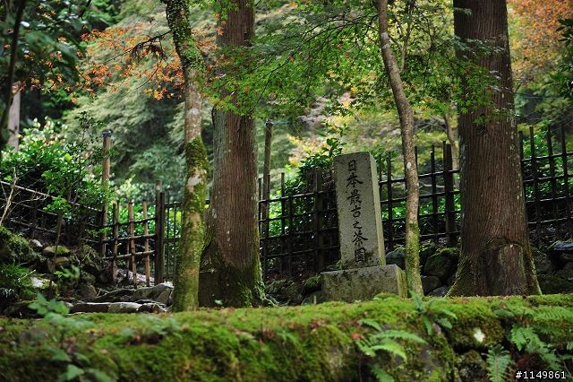 [分享]日本世界文化遺產 - 京都(下)