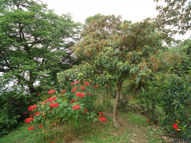 12/15南化北寮糖子恩山(鈺鼎步道)