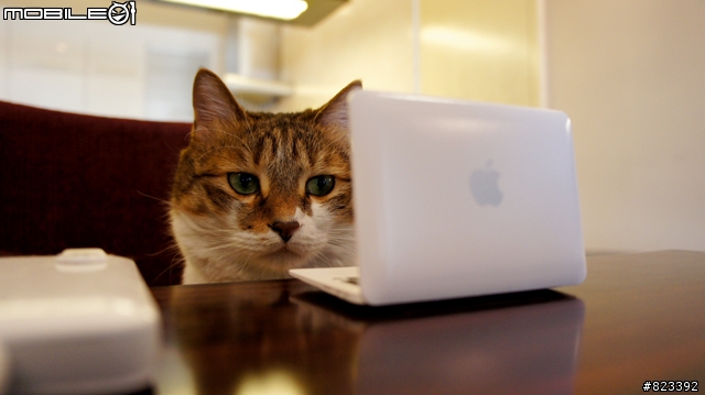 貓咪專用MACBOOK！