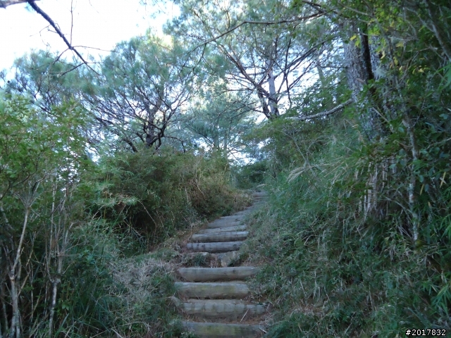 12/19冬日的塔塔加東埔山行