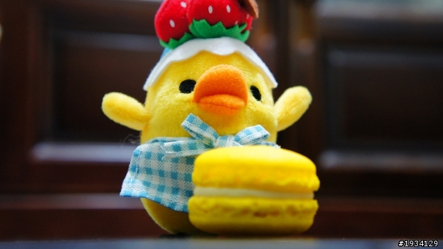 少女的酥胸~!!