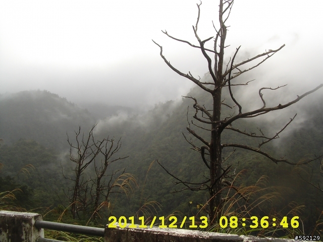 北橫 合歡山 清境