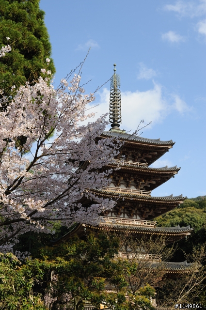 [分享]日本世界文化遺產 - 京都(上)