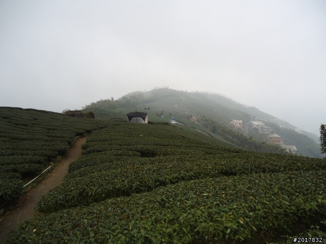 2012-01-29瑞太古道(純圖片)