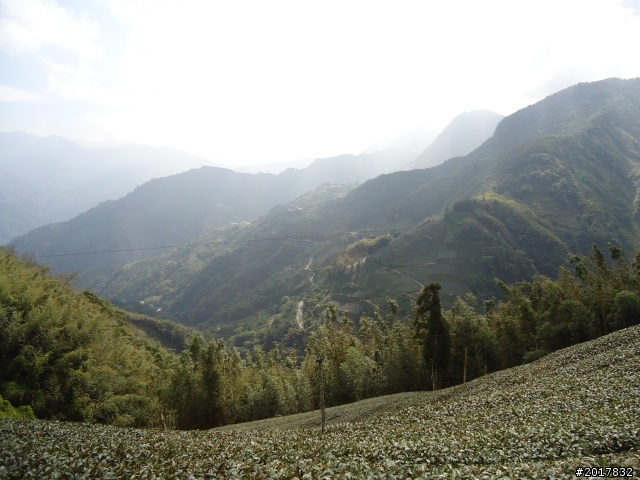 2012-01-29瑞太古道(純圖片)