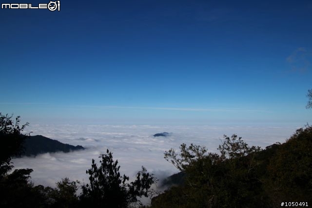 2012.01.08  雪霸觀霧賞聖陵~樂山林道雲海~