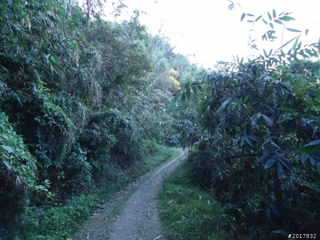 2012/01/19高雄大津尾寮山