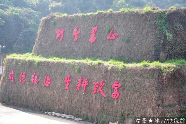 [景點] 高雄大樹。佛陀紀念館  (圖多詳解)