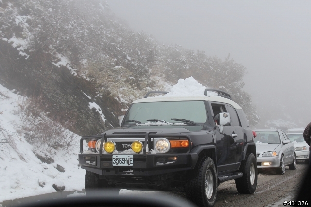 過年初三賞雪行