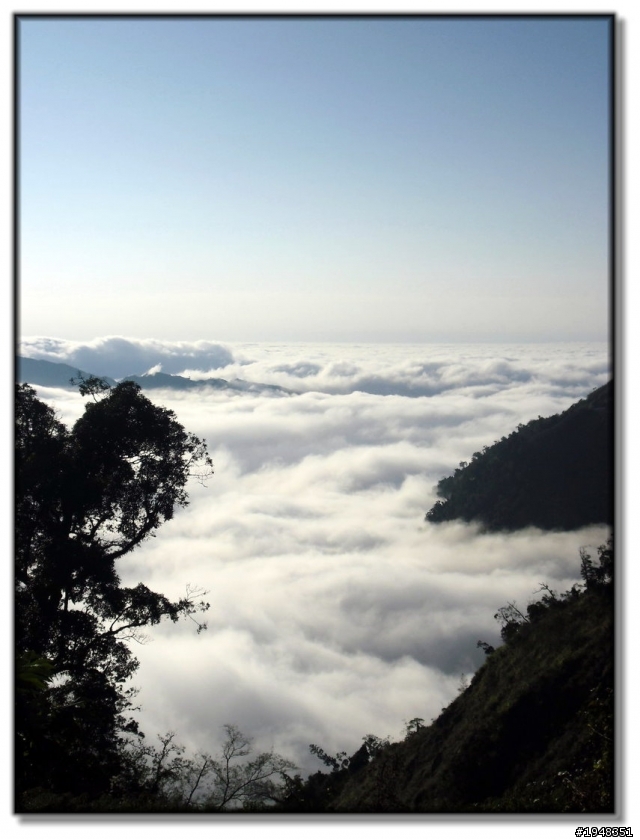 初三上山賞雲海去