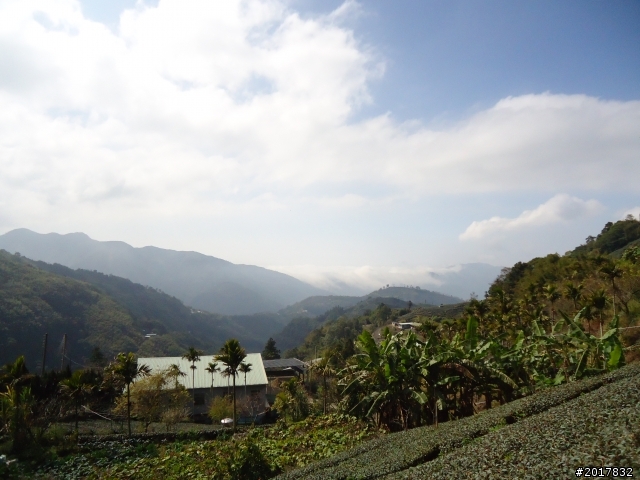 2012-01-29瑞太古道(純圖片)