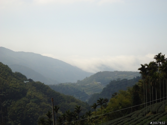 2012-01-29瑞太古道(純圖片)