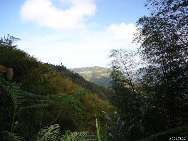 2012-01-29瑞太古道(純圖片)