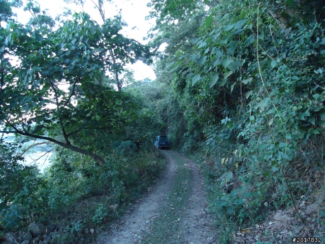 2012/01/19高雄大津尾寮山