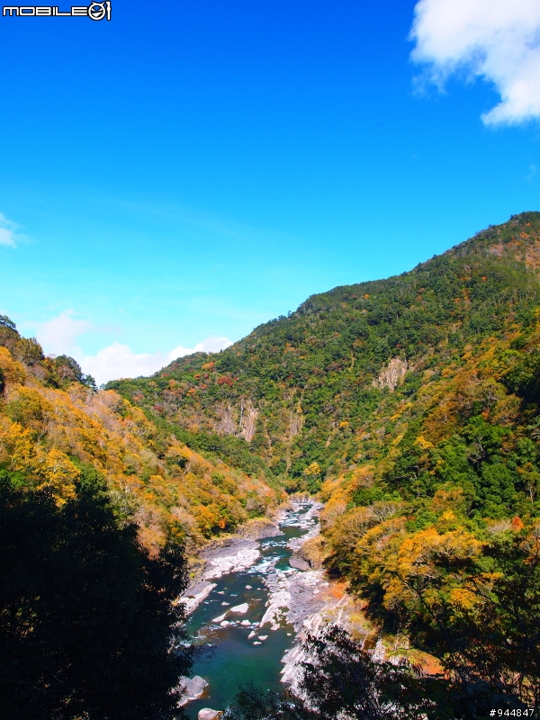 秋楓到冬楓...2011/11/06武陵and福壽山,11/12石門水庫,11/27武陵and福壽山~2012/01/01桃源仙谷,01/08尖石秀巒