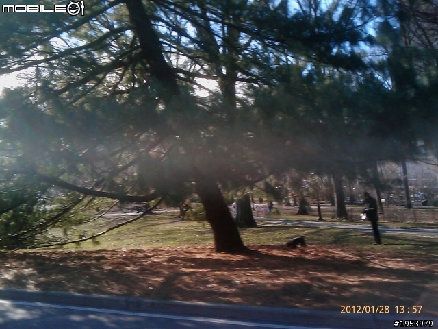 回紐約過年騎車(2)......寒冷中前進.....中央公園(central park)之美!