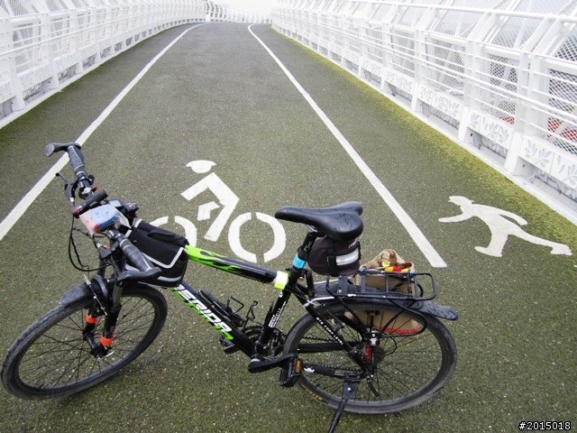【城市漫遊Ⅶ】迷路原為看花開～萬年縣傳奇