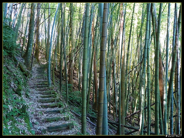 2012.01.10_台灣四大天王山之「四天皇山」登山休閒趣！